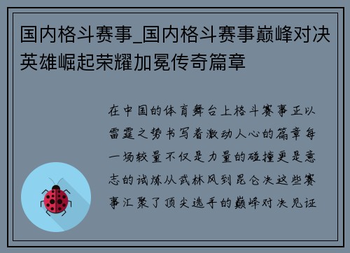 国内格斗赛事_国内格斗赛事巅峰对决英雄崛起荣耀加冕传奇篇章